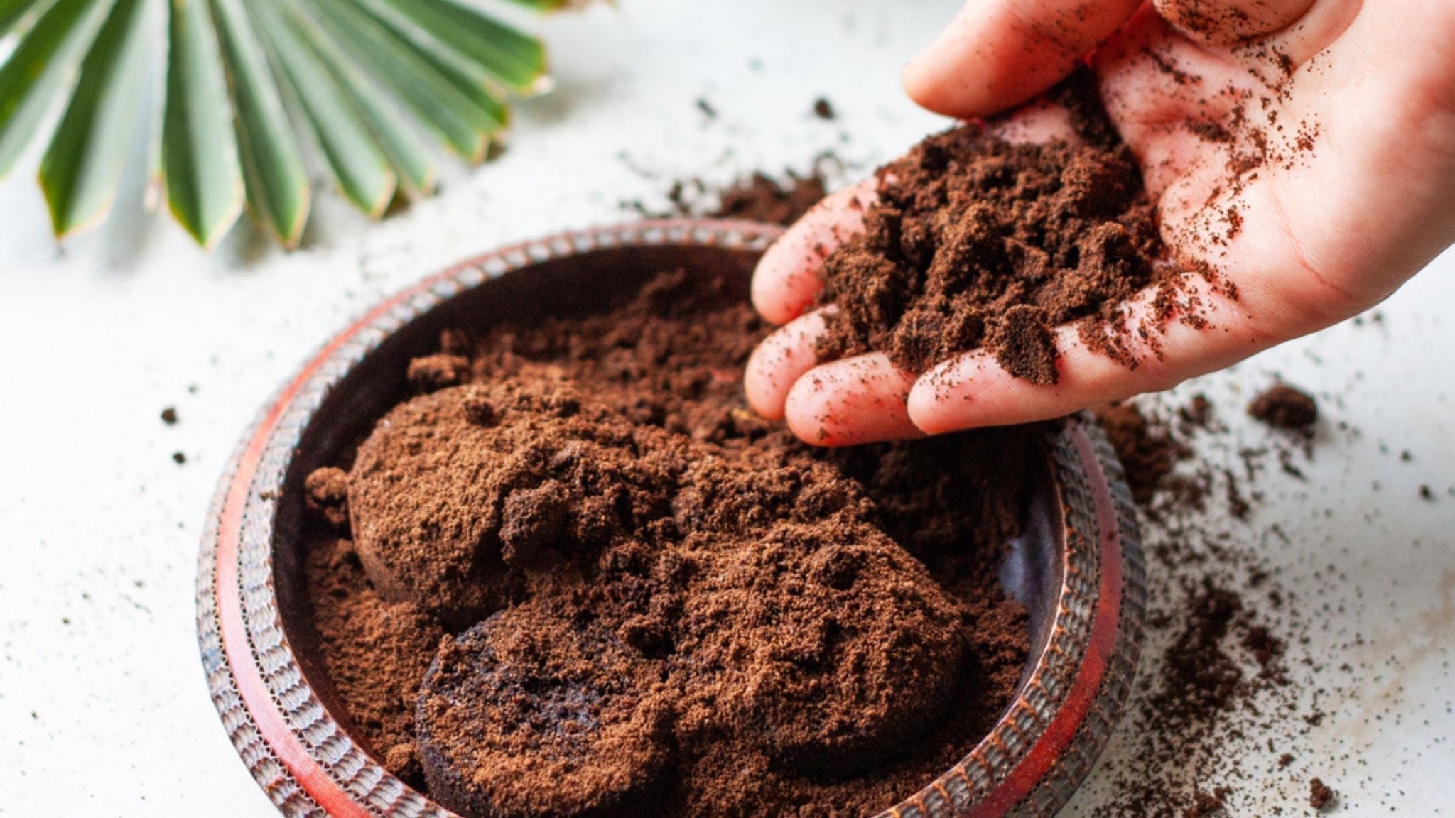 Homemade Nitrogen Fertilizer