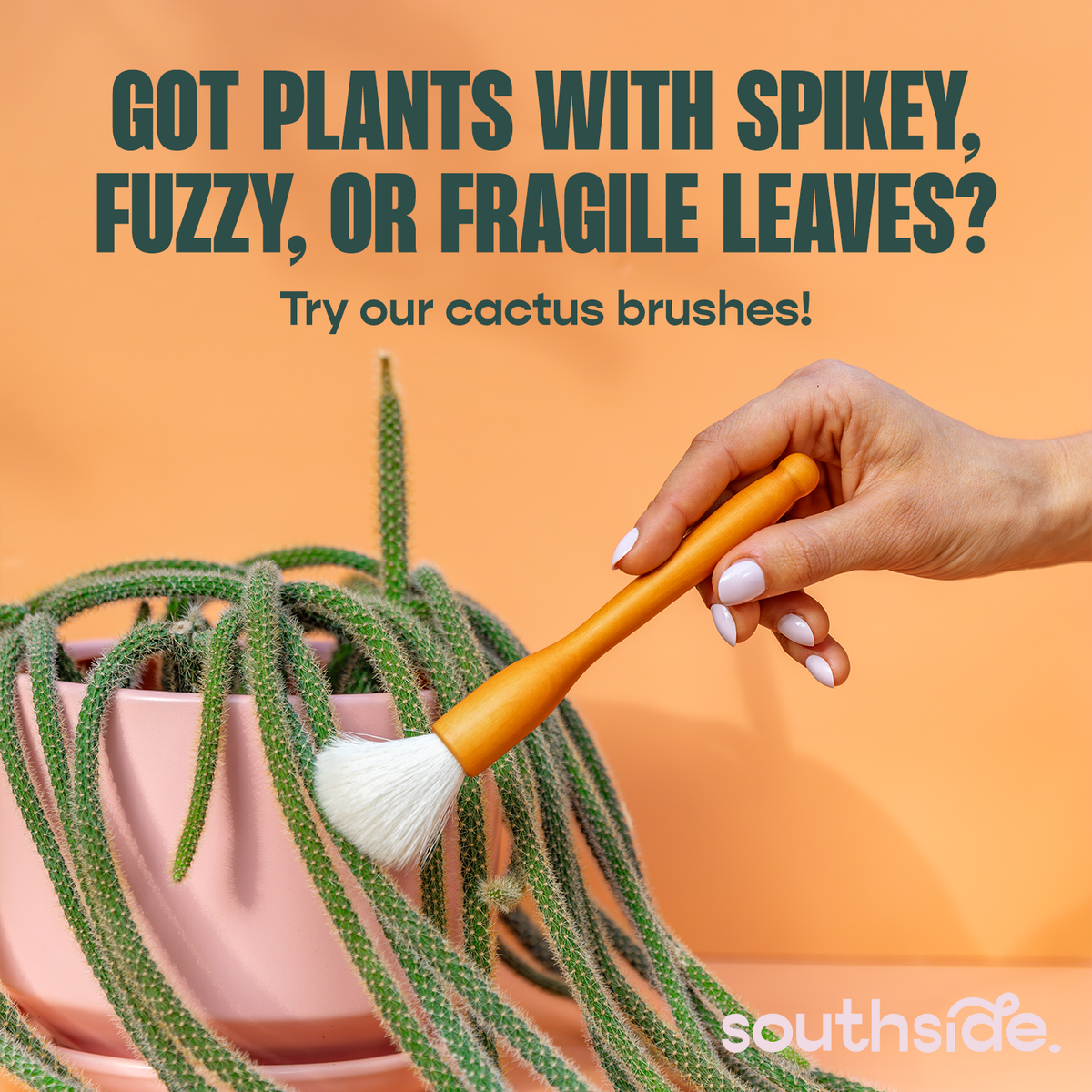 Plant Wipes