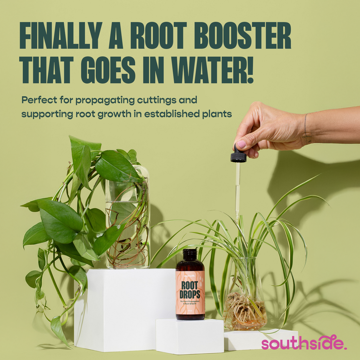 Root Drops