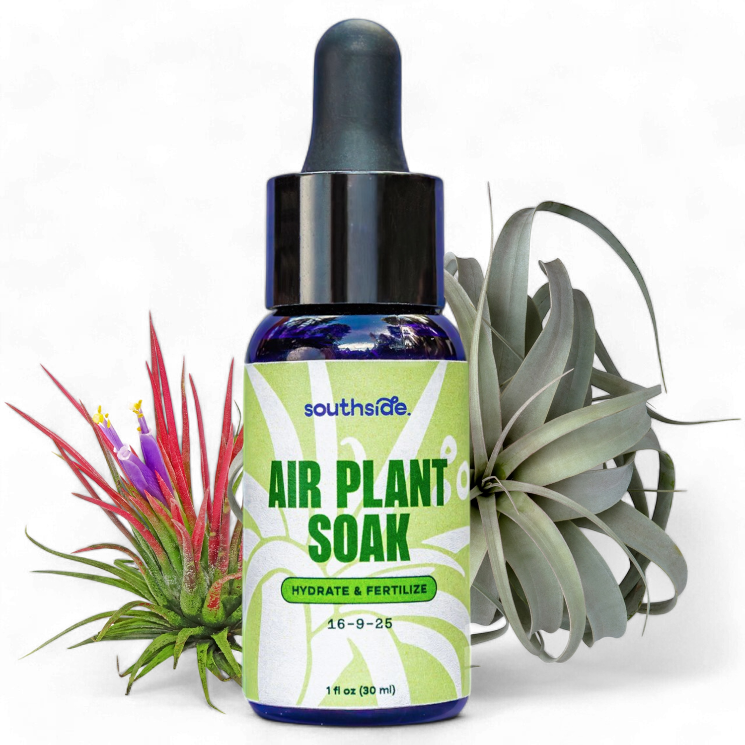 Air Plant Fertilizer