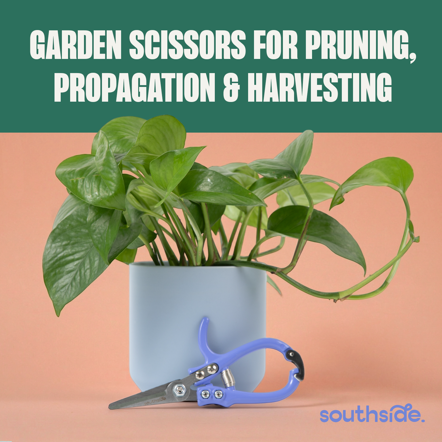 Southside Garden Scissors (Periwinkle)