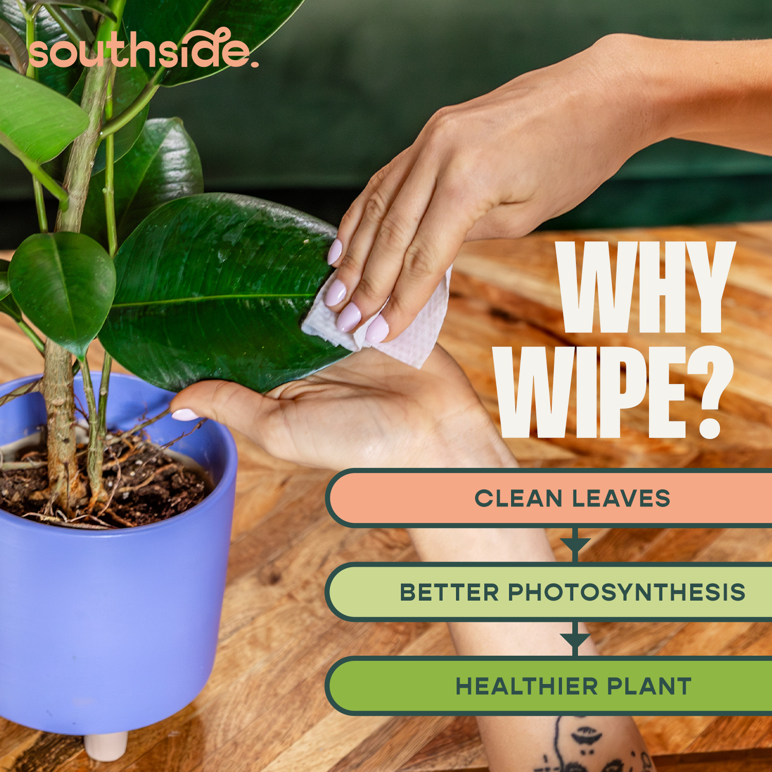 Plant Wipes