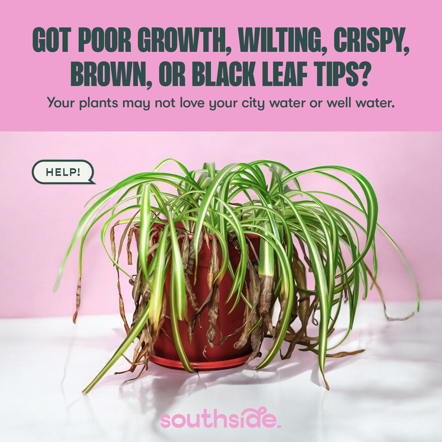 Tap Water Conditioner