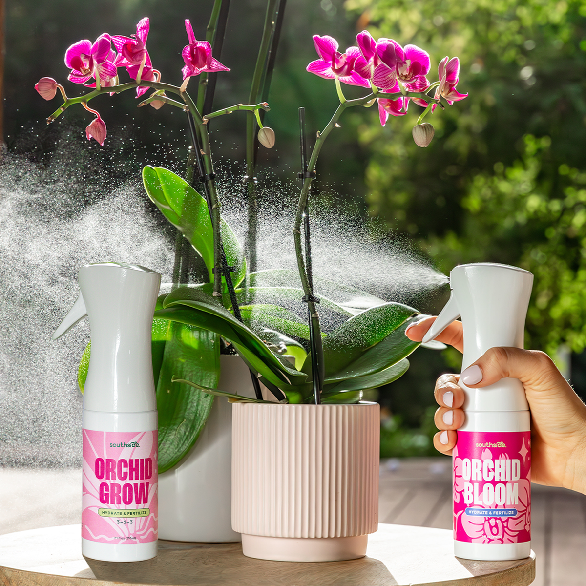 Orchid Fertilizer Sprays