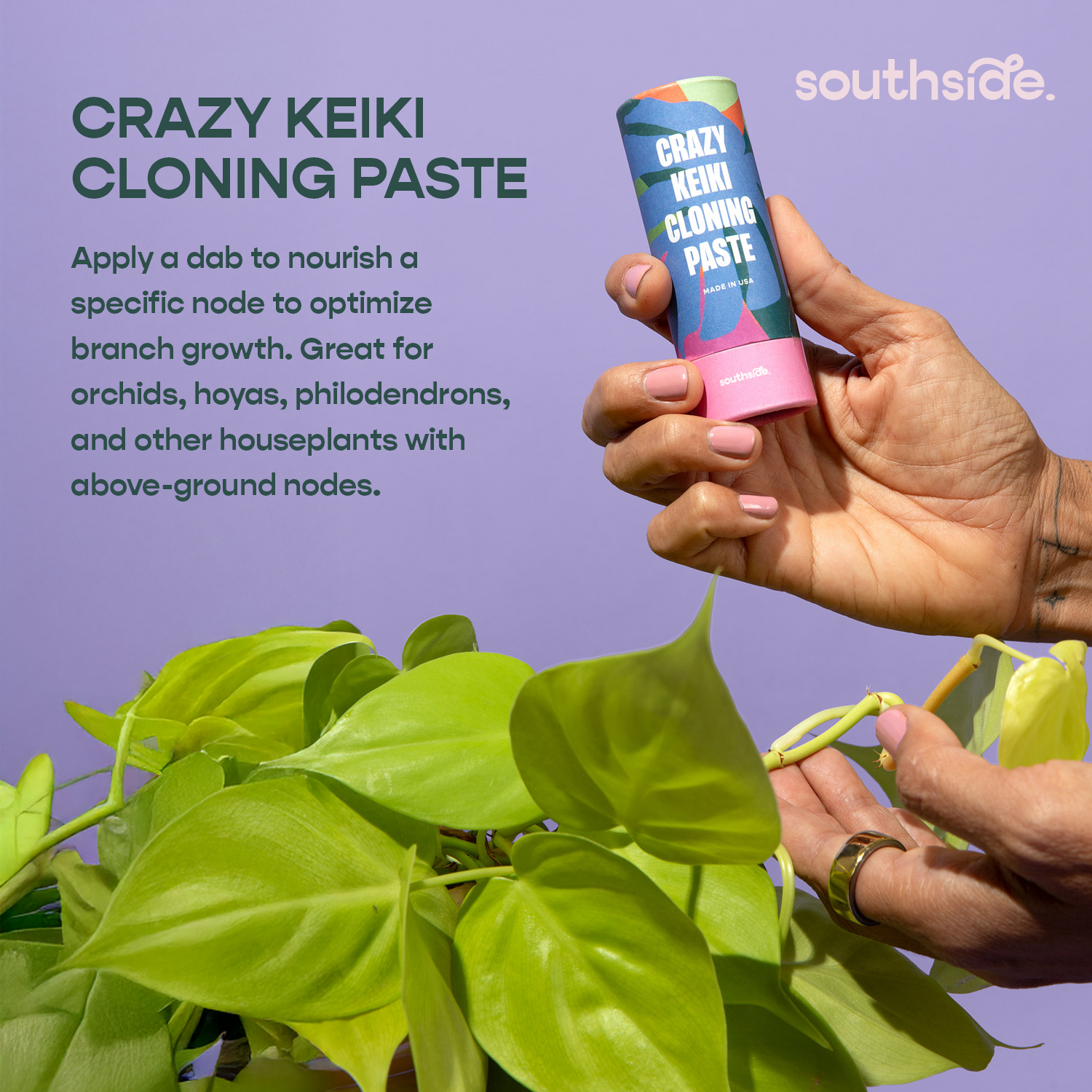 Prop Box - Gift for Plant Lovers