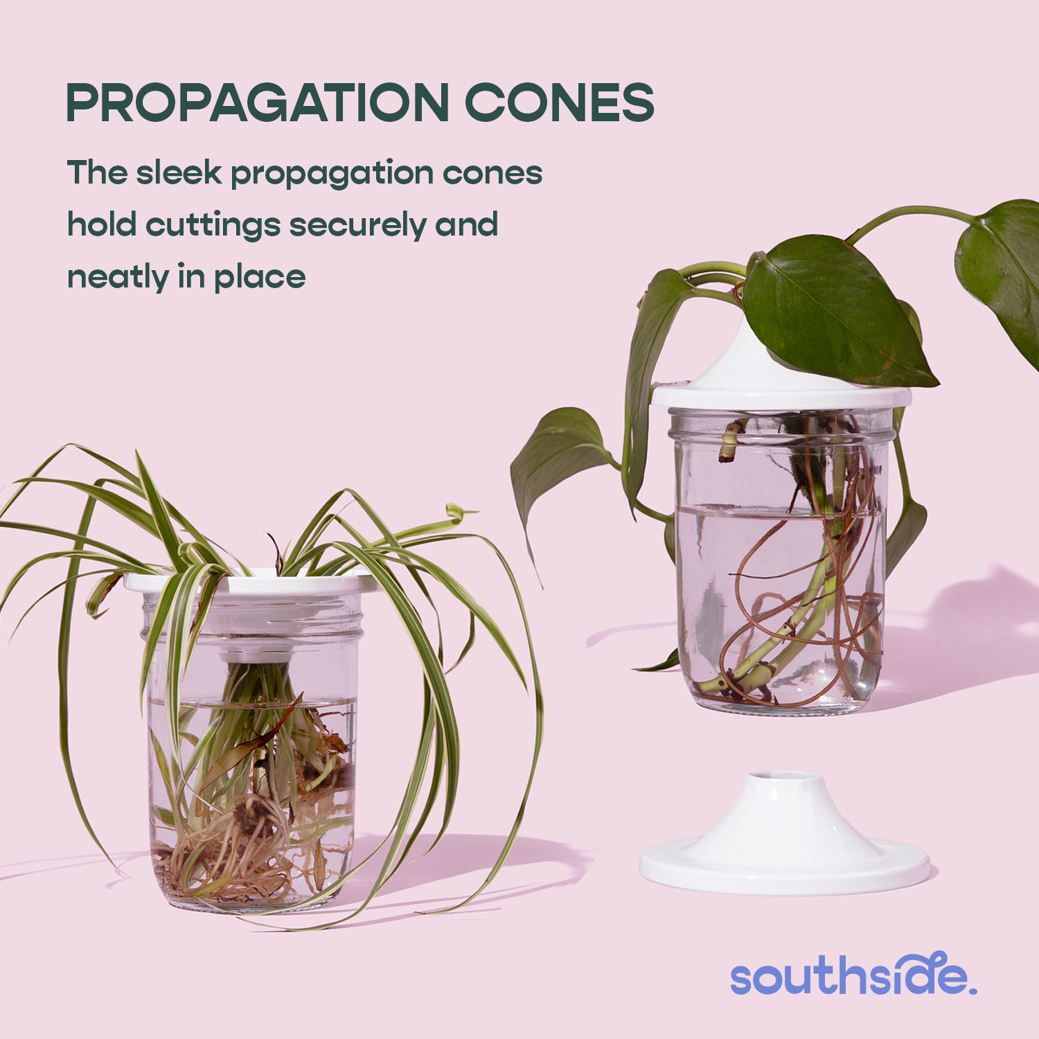 Prop Box - Gift for Plant Lovers