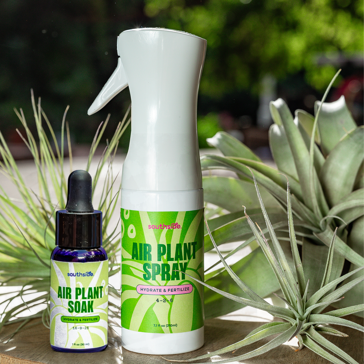 Air Plant Fertilizer