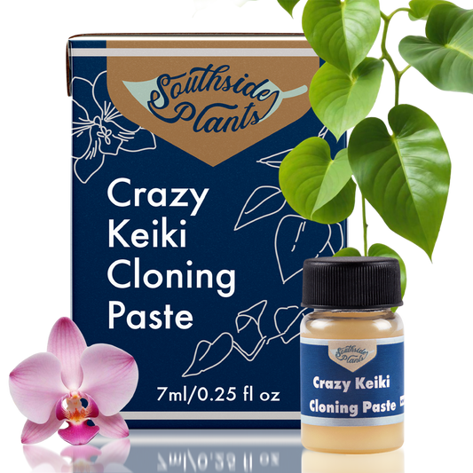 Crazy Keiki Cloning Paste