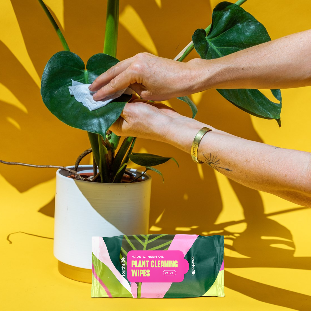 Plant Wipes