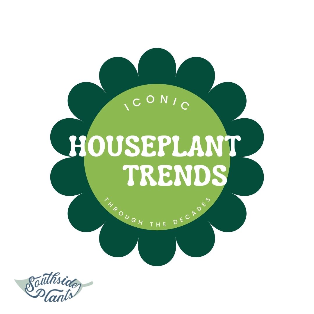 Iconic Houseplant Trends Through The Decades