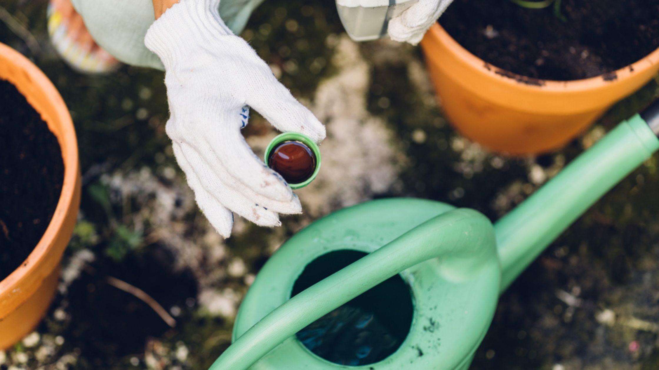 Understanding Fertilizer NPK Southside Plants   Adding Fertilizer 