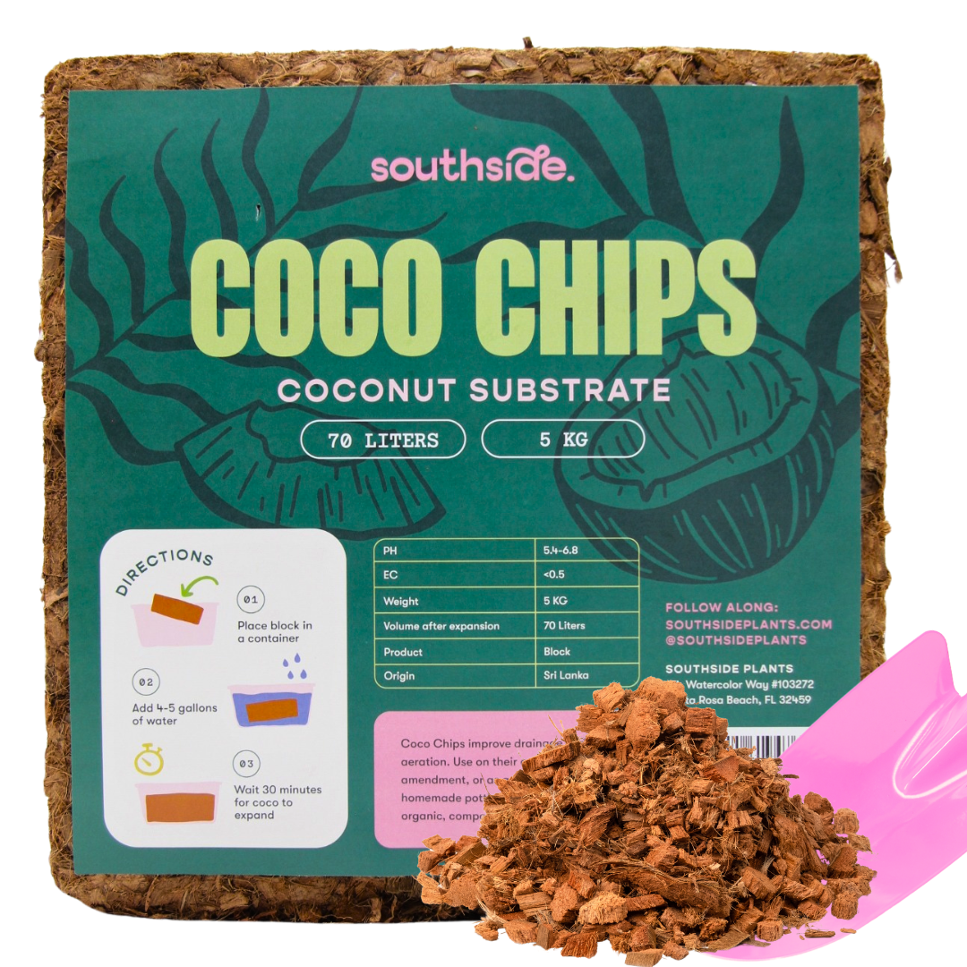 Coco Chip Brick