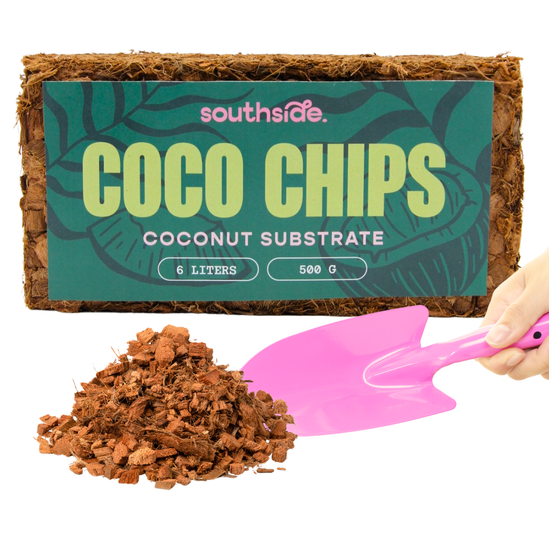 Coco Chip Brick