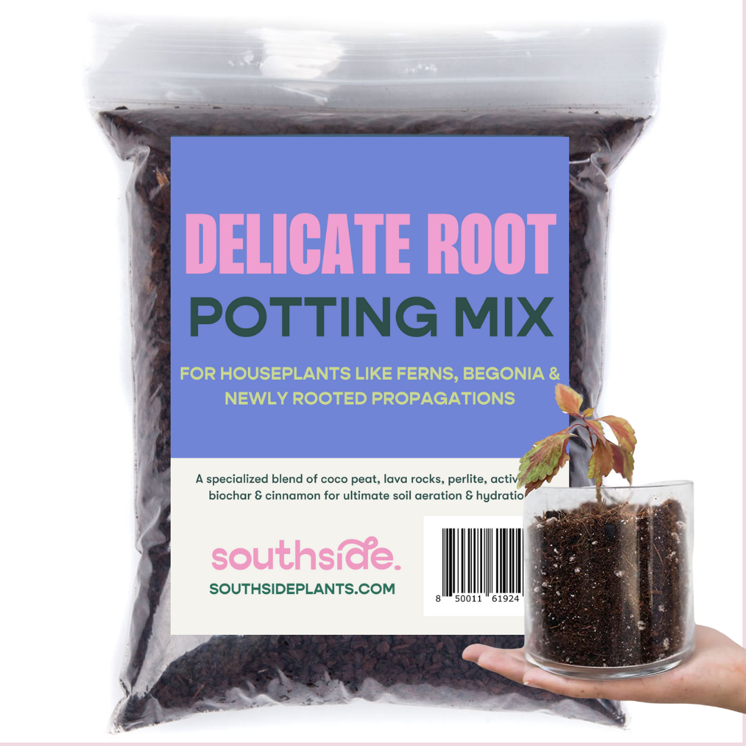 Delicate Root Potting Mix