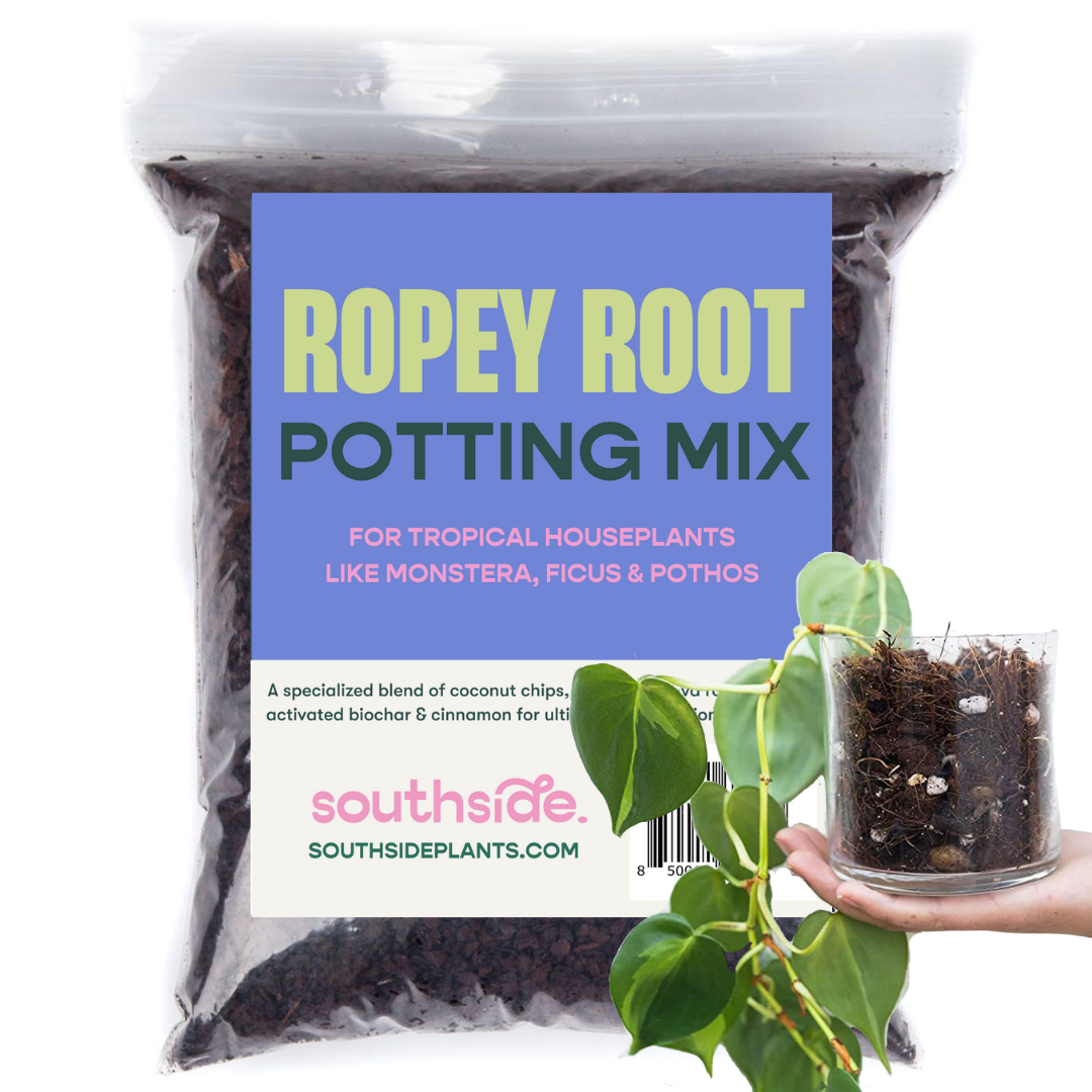 Ropey Root Potting Mix