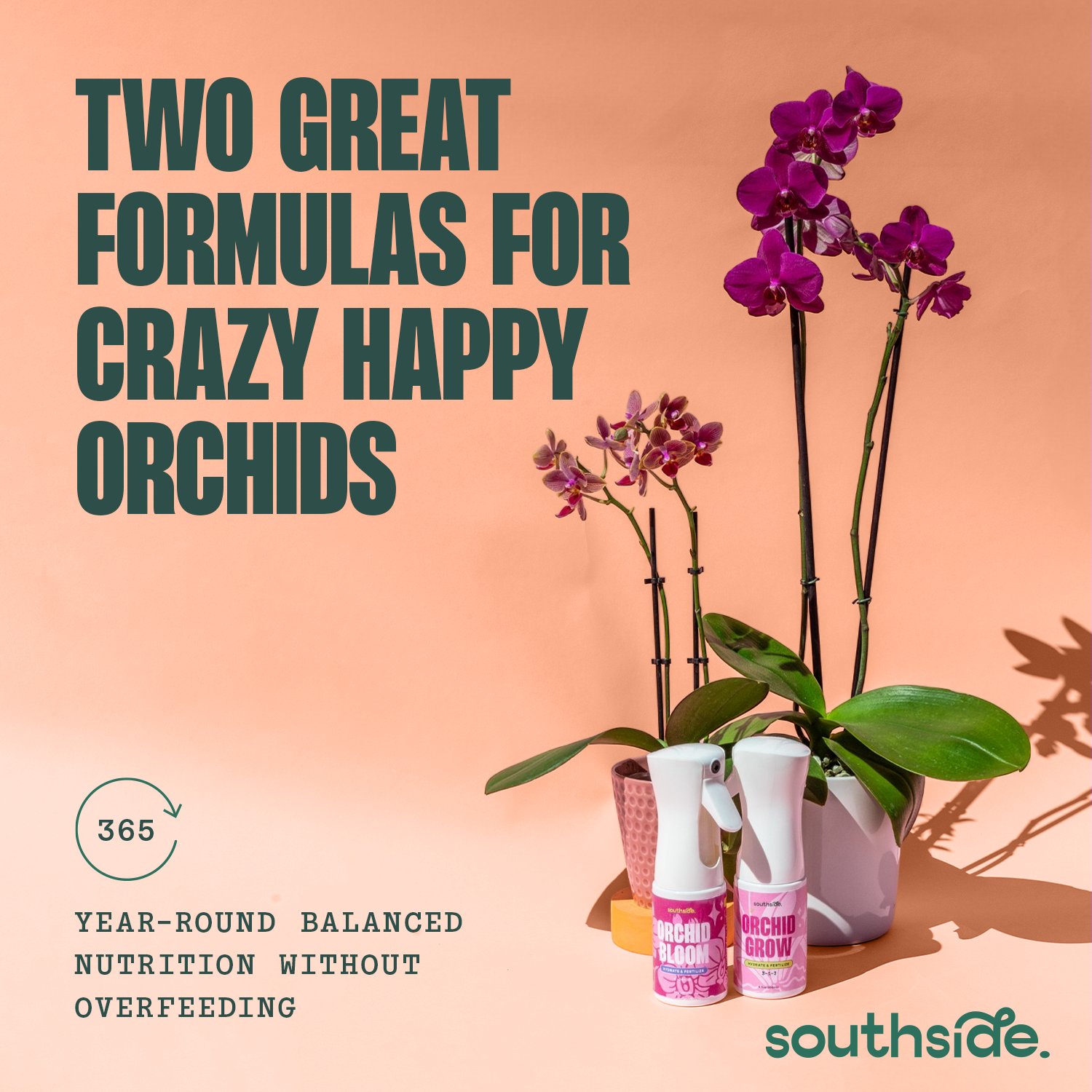 Orchid Fertilizer Spray