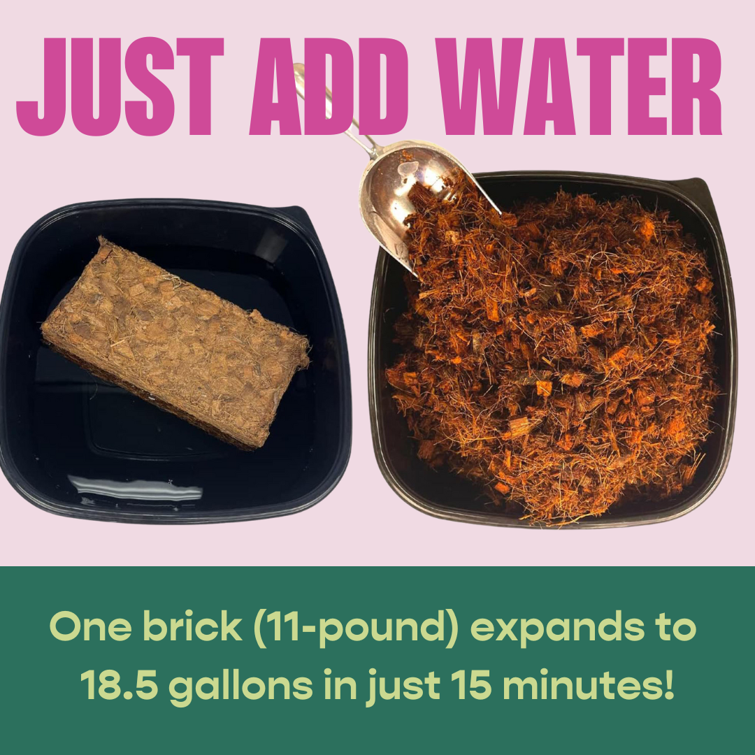 Coco Chip Brick