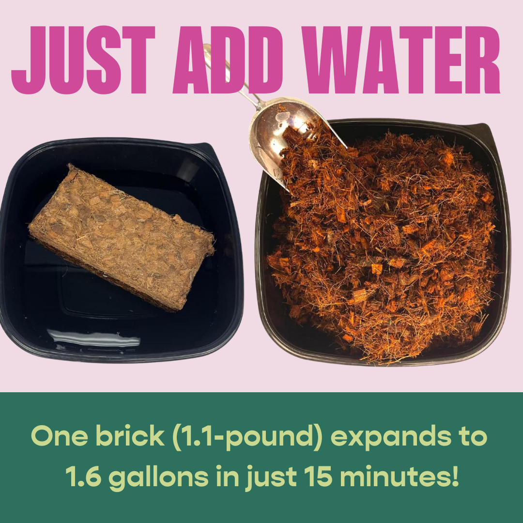 Coco Chip Brick