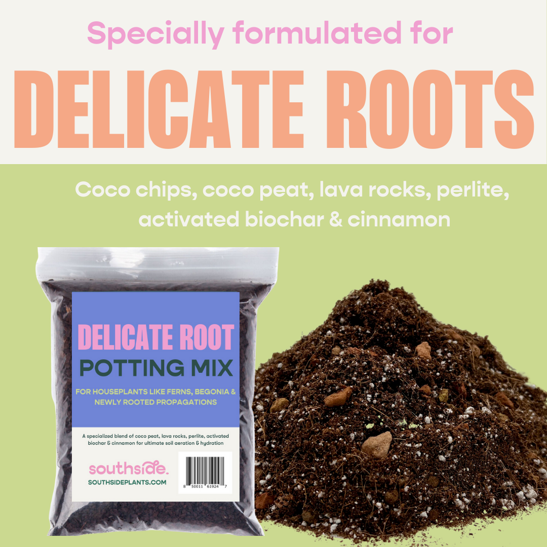 Delicate Root Potting Mix