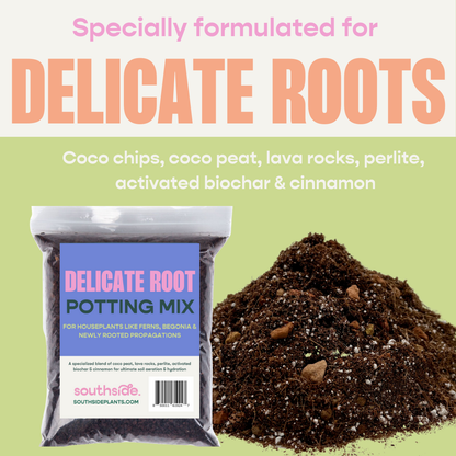 Delicate Root Potting Mix