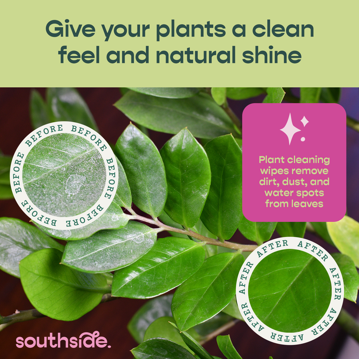 Plant Wipes