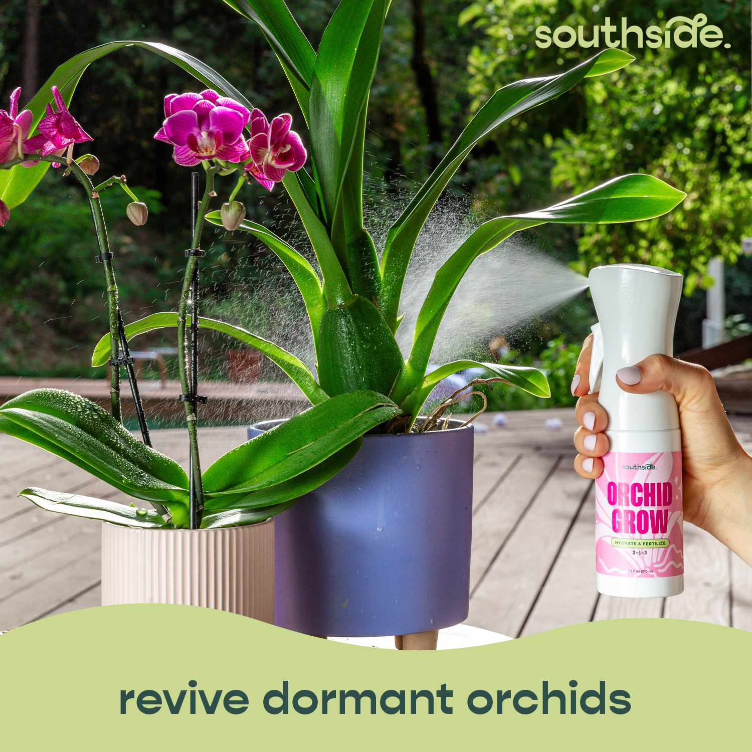 Orchid Fertilizer Spray