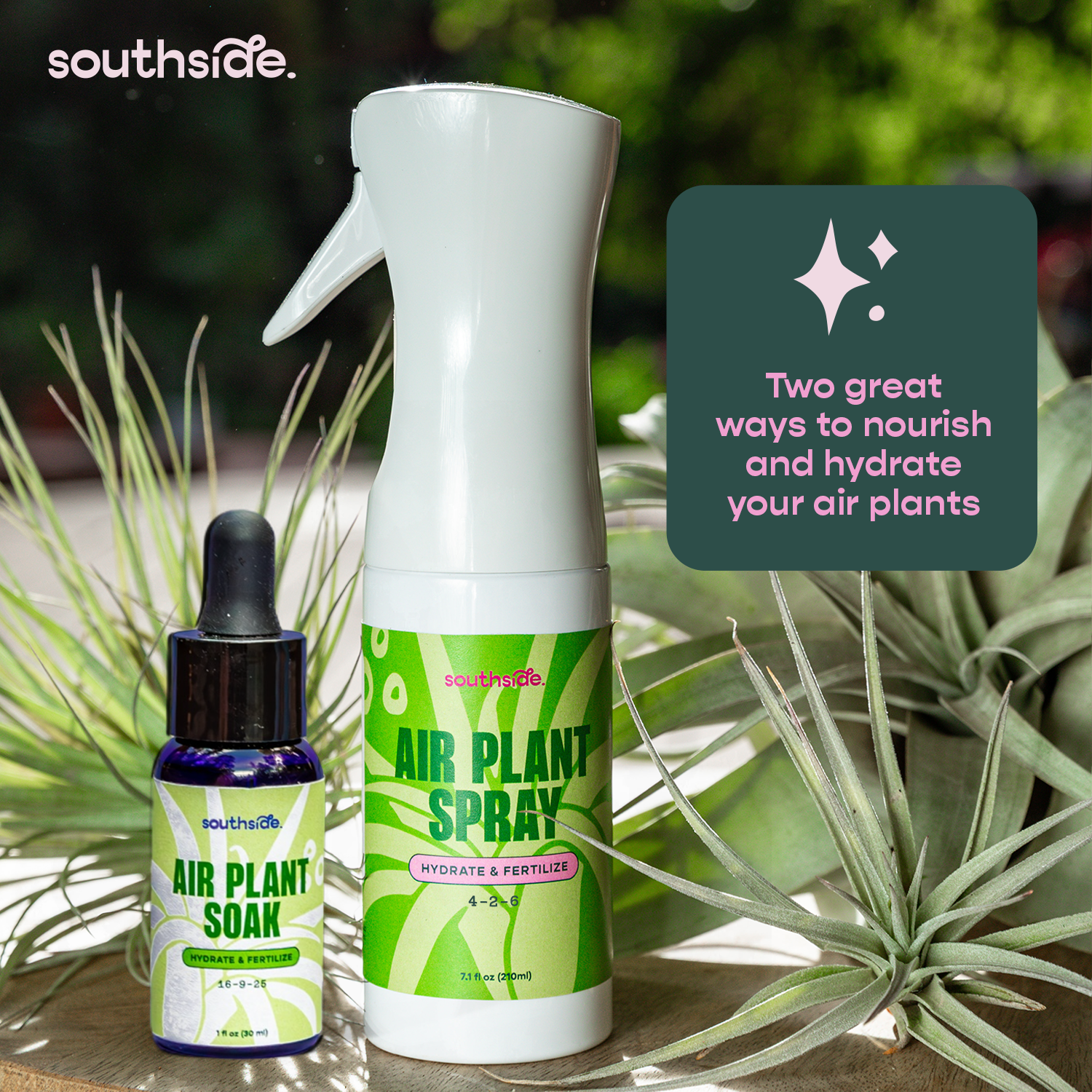 Air Plant Fertilizer