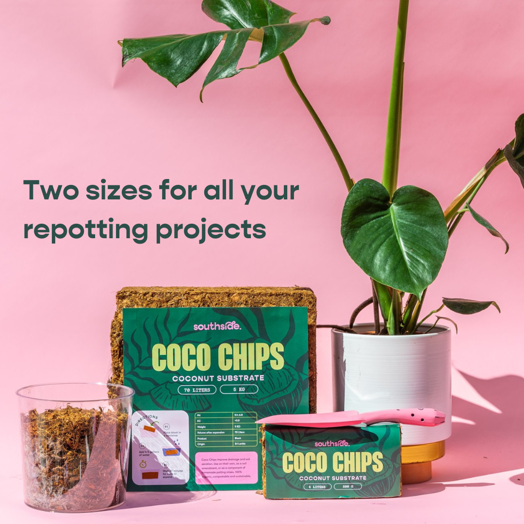 Coco Chip Brick