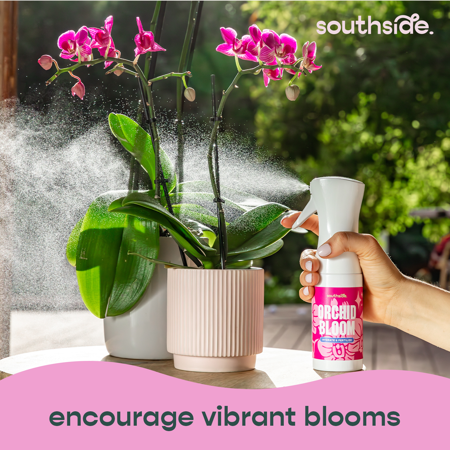 Orchid Fertilizer Spray