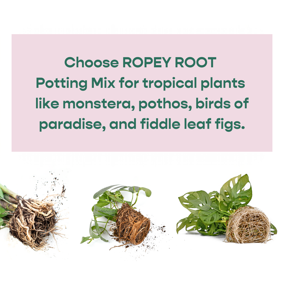 Delicate Root Potting Mix