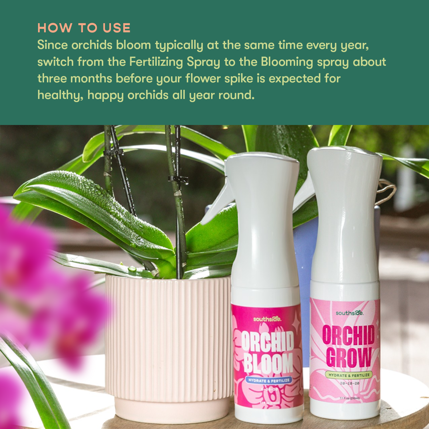 Orchid Grow & Bloom Sprays