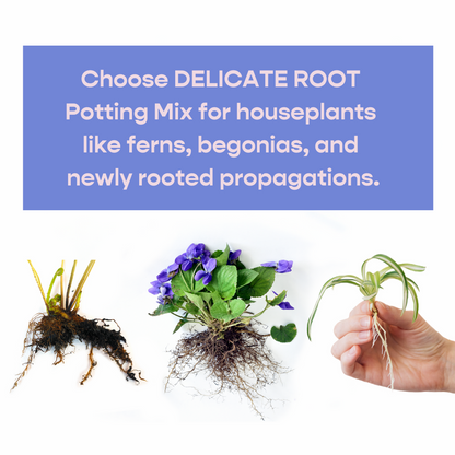 Delicate Root Potting Mix