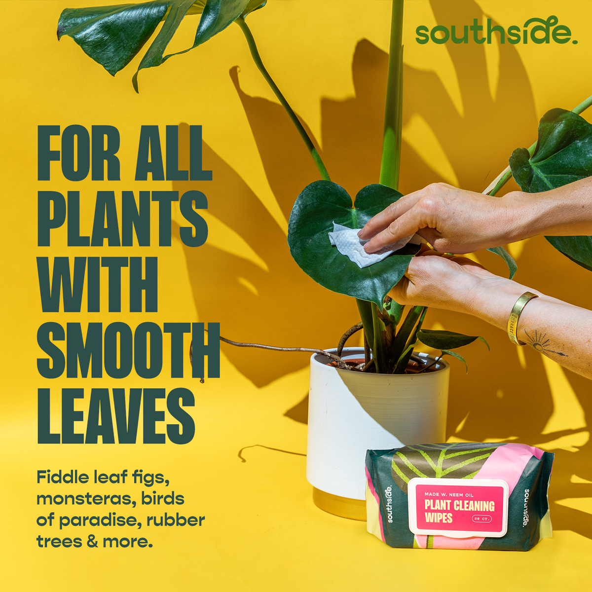 Plant Wipes