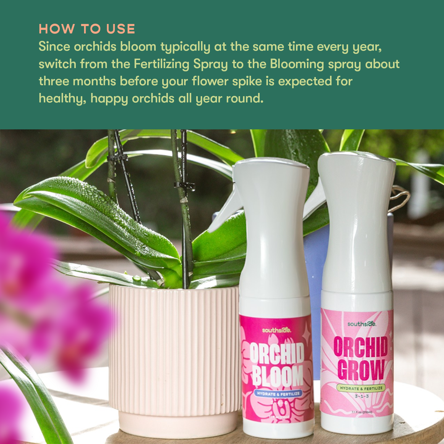 Orchid Fertilizer Spray