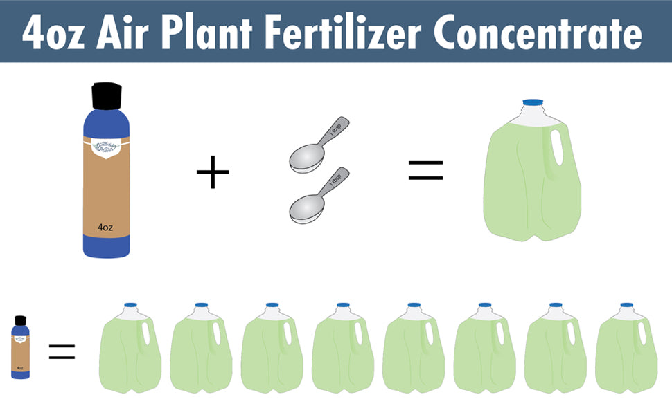 Air Plant Weekly Fertilizer