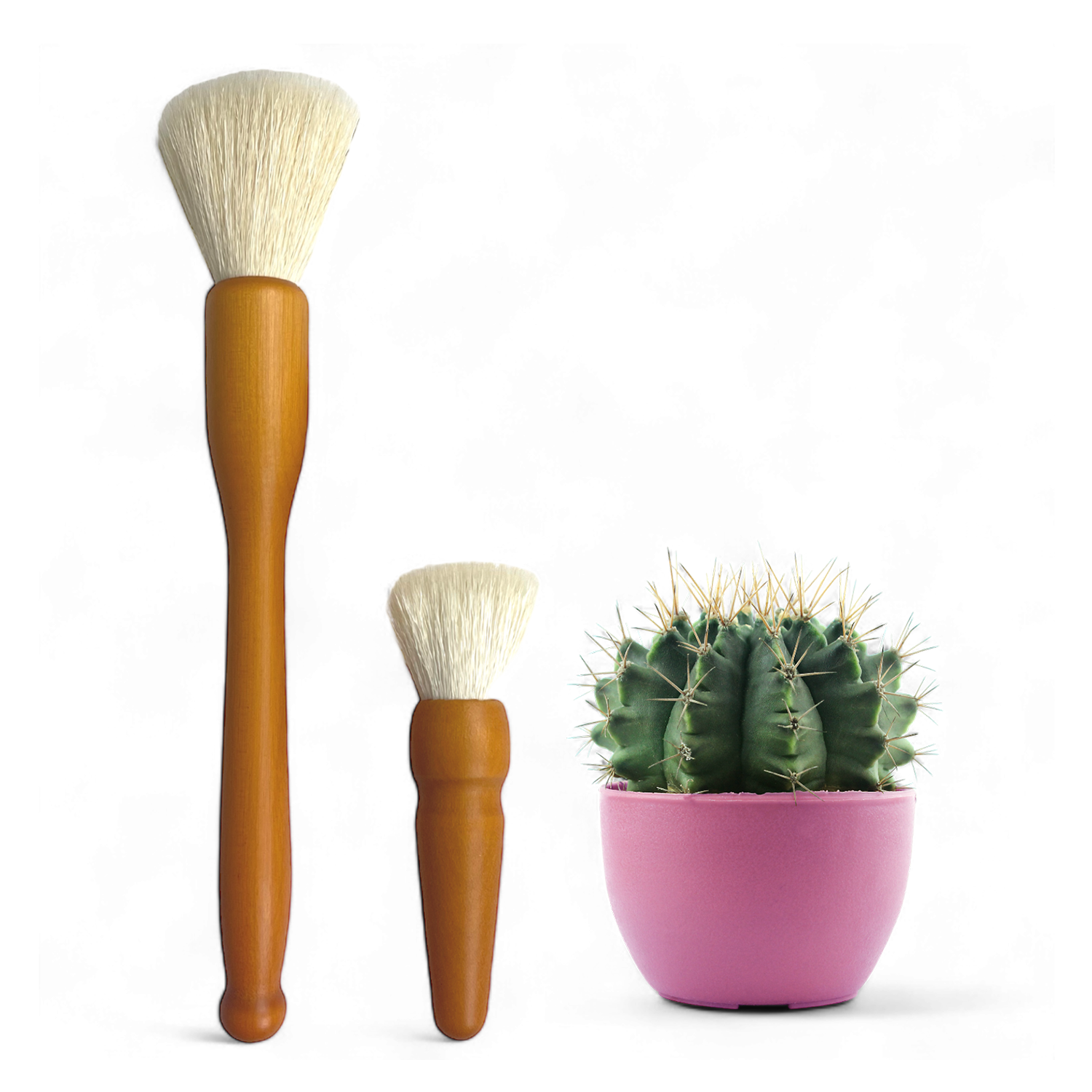 Cactus Brushes