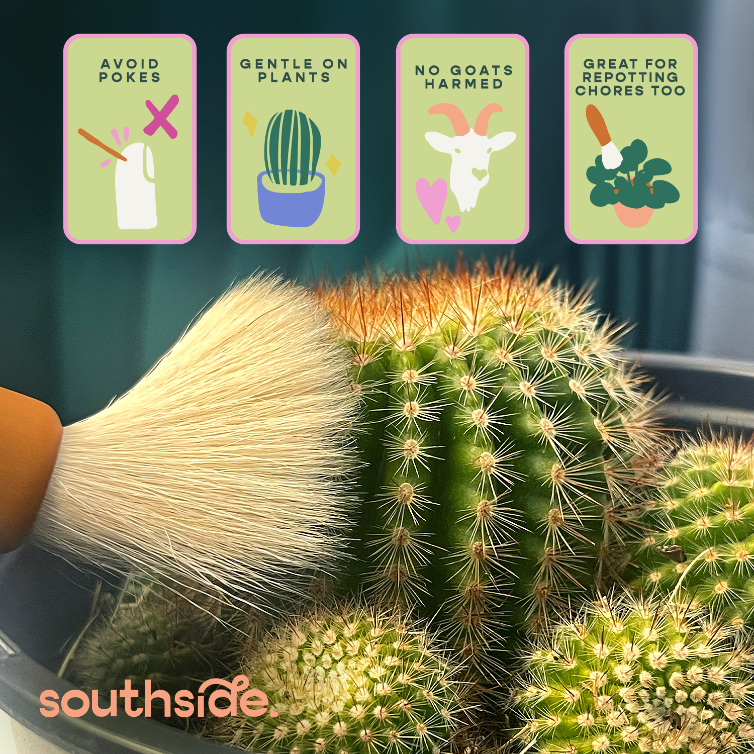 Cactus Brushes