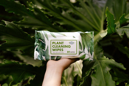 Plant Wipes
