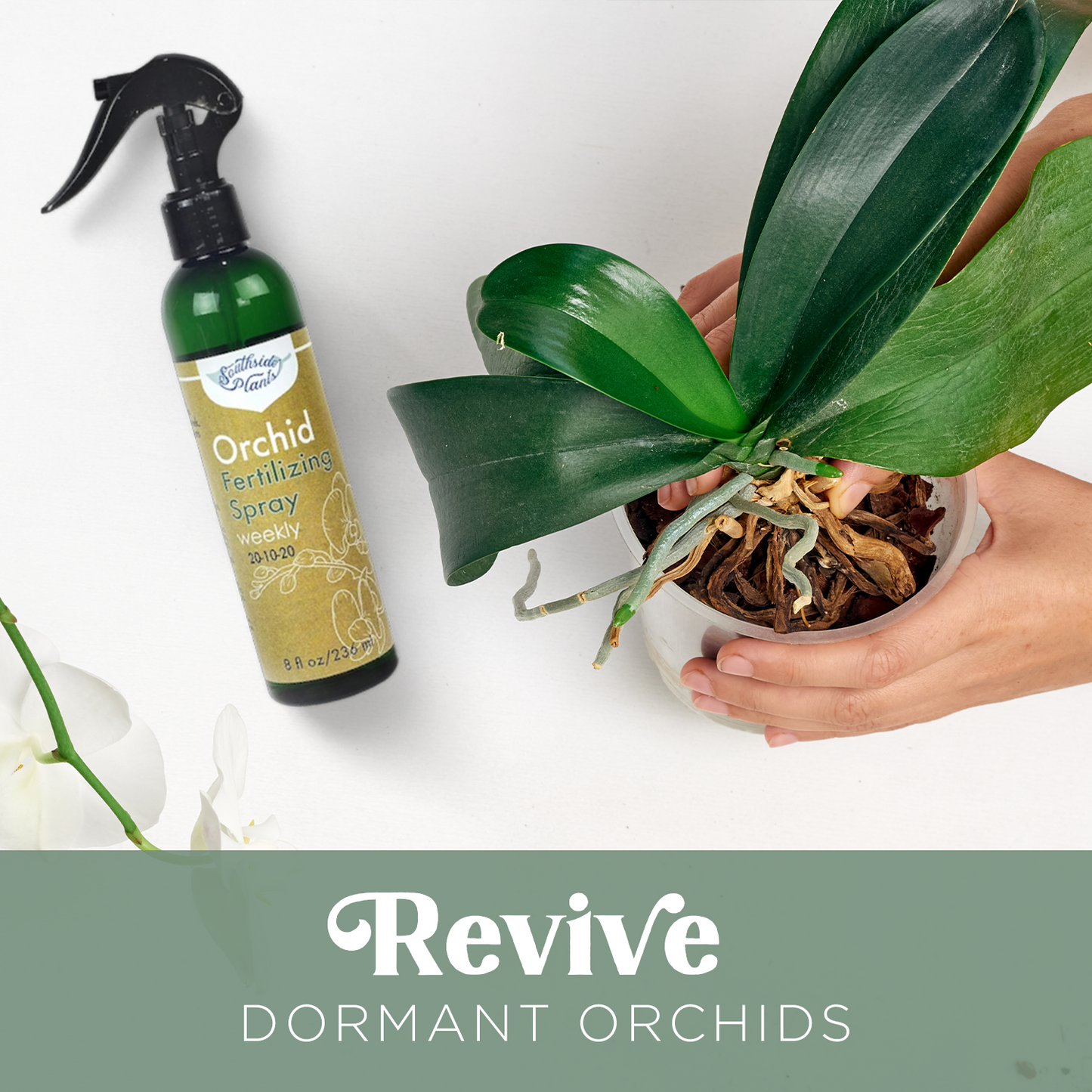Orchid Fertilizing & Blooming Sprays