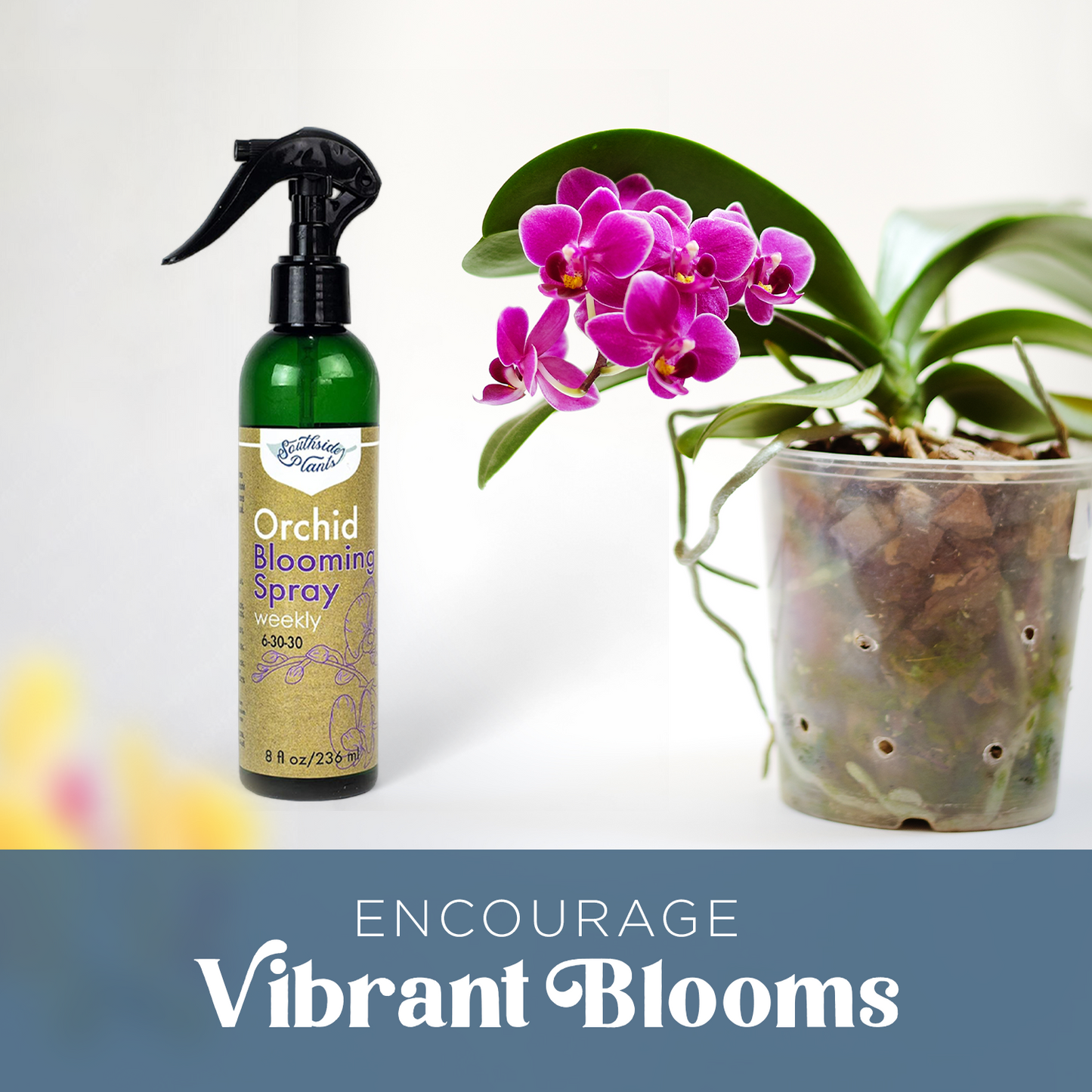 Orchid Fertilizing & Blooming Sprays