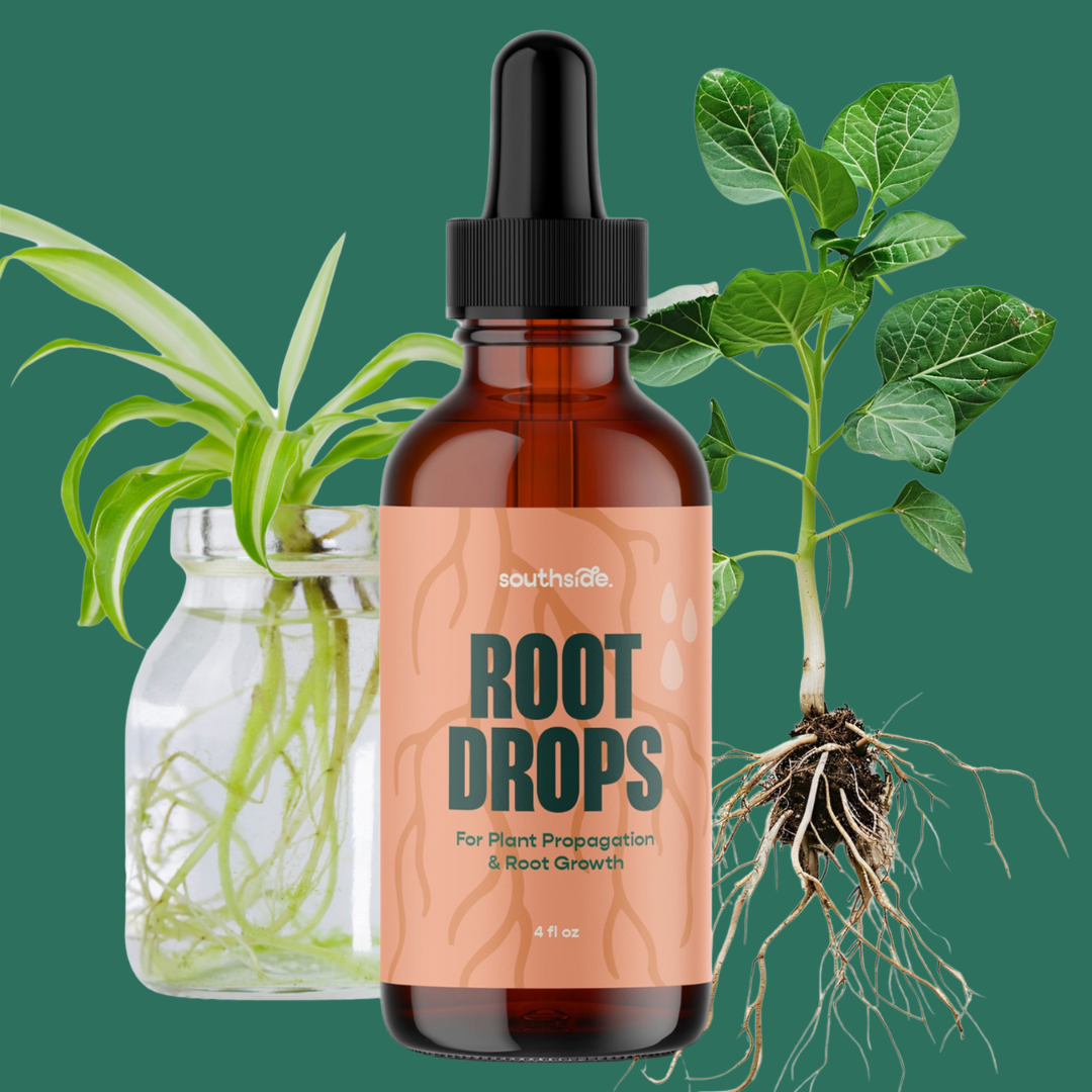 Root Drops