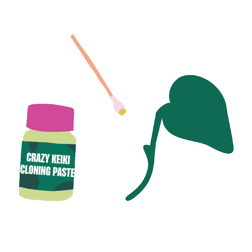Keiki Paste Info Keiki paste info