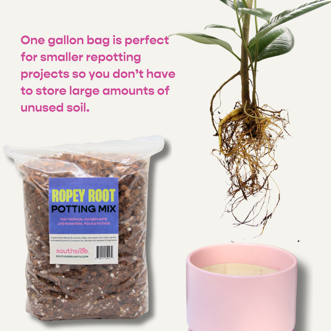 Ropey Root Potting Mix