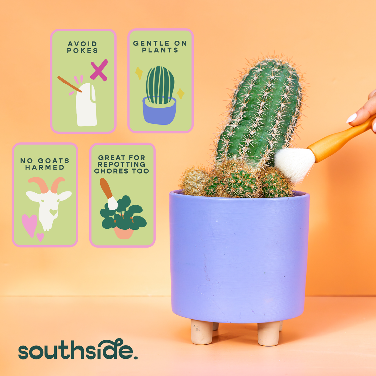 Cactus Brushes