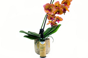 Orchid Fertilizing Spray - 8 oz Southside Plants